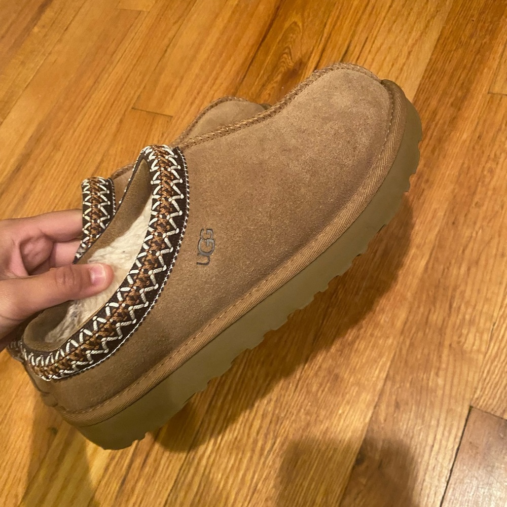 UGG tasman slippers chesnut